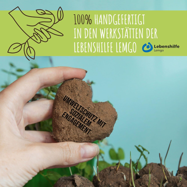 12x Samenbomben für eine bunte Bienenweide – Bild 7