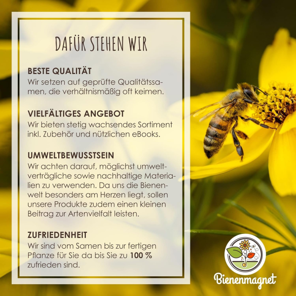12x Samenbomben für eine bunte Bienenweide – Bild 9