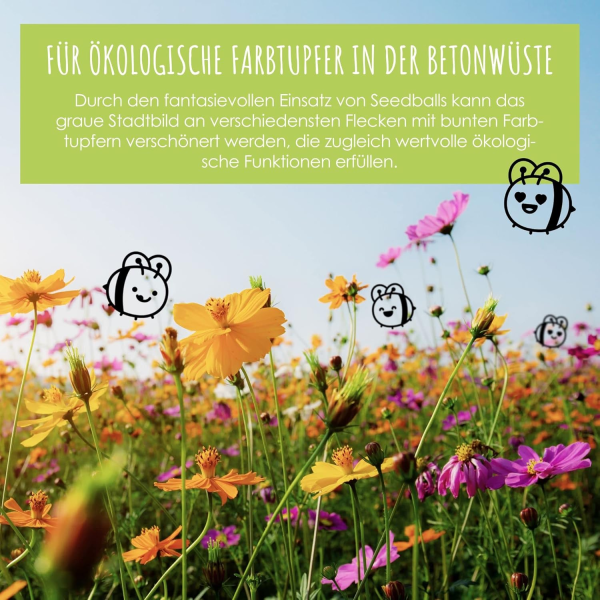 12x Samenbomben für eine bunte Bienenweide – Bild 8