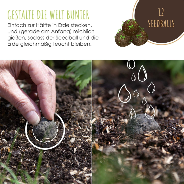12x Samenbomben für eine bunte Bienenweide – Bild 5